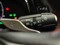 2025 Lexus NX