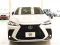 2025 Lexus NX