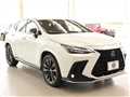 2025 Lexus NX