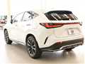 2025 Lexus NX