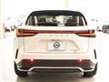 2025 Lexus NX