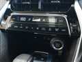 2024 Toyota Harrier