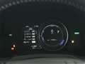 2023 Lexus IS