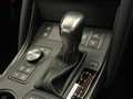 2023 Lexus IS