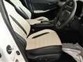 2023 Lexus IS