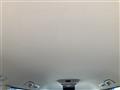 2007 Toyota Alphard