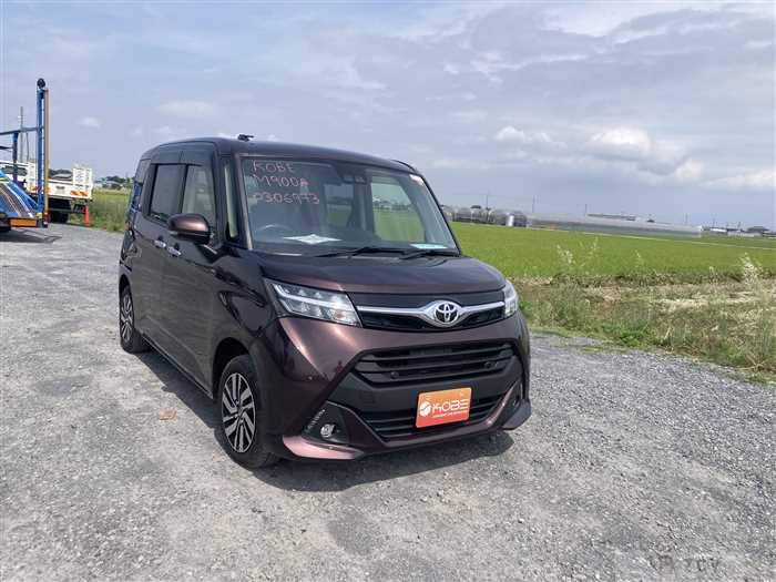 2019 Toyota Tank