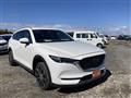 2019 Mazda CX-8