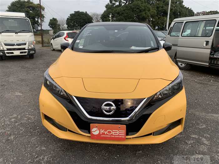 2018 Nissan Leaf