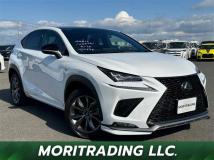 2021 Lexus NX