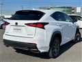 2021 Lexus NX