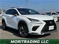 2019 Lexus NX
