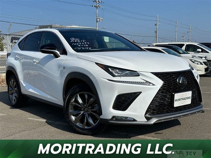 2019 Lexus NX