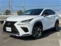 2019 Lexus NX