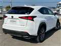 2019 Lexus NX