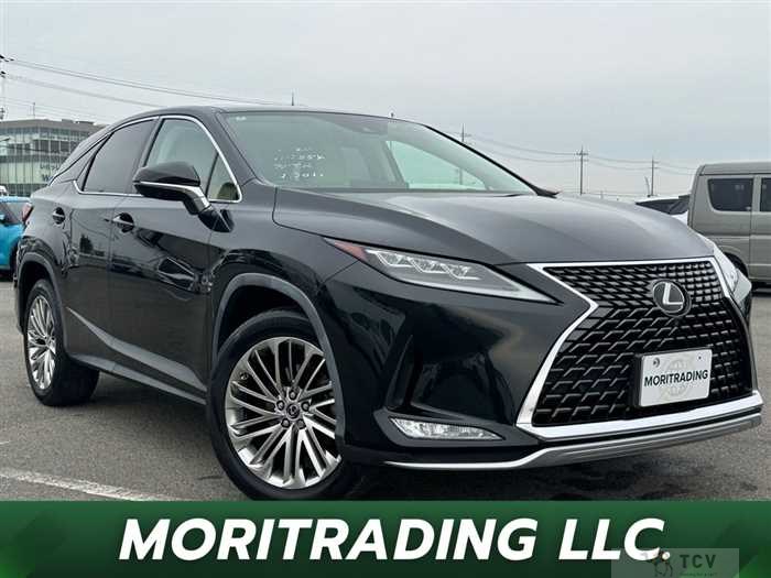 2020 Lexus RX