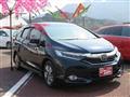 2018 Honda Civic Shuttle