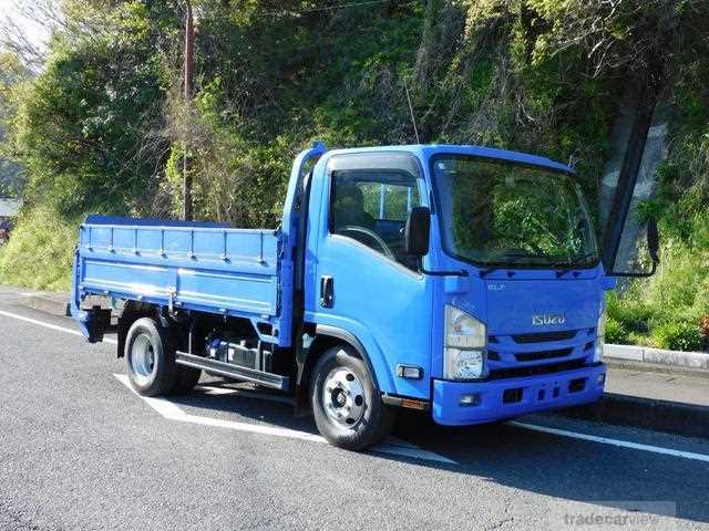 2019 Isuzu Elf Truck