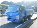 2019 Isuzu Elf Truck