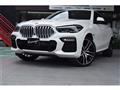 2020 BMW X6