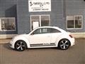 2014 Volkswagen Beetle