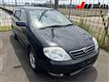 2002 Toyota Corolla Fielder