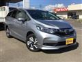 2020 Honda Civic Shuttle