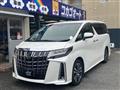 2019 Toyota Alphard G