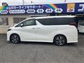 2019 Toyota Alphard G