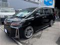 2020 Toyota Alphard G