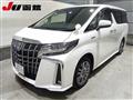 2019 Toyota Alphard G