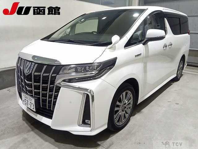 2019 Toyota Alphard G