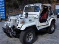 1996 Mitsubishi Jeep
