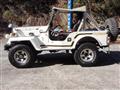 1996 Mitsubishi Jeep