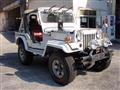 1996 Mitsubishi Jeep