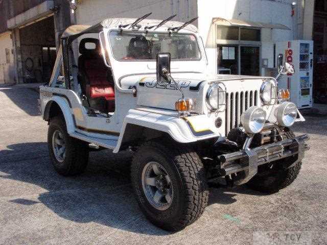 1996 Mitsubishi Jeep