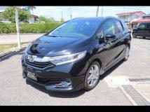 2017 Honda Civic Shuttle