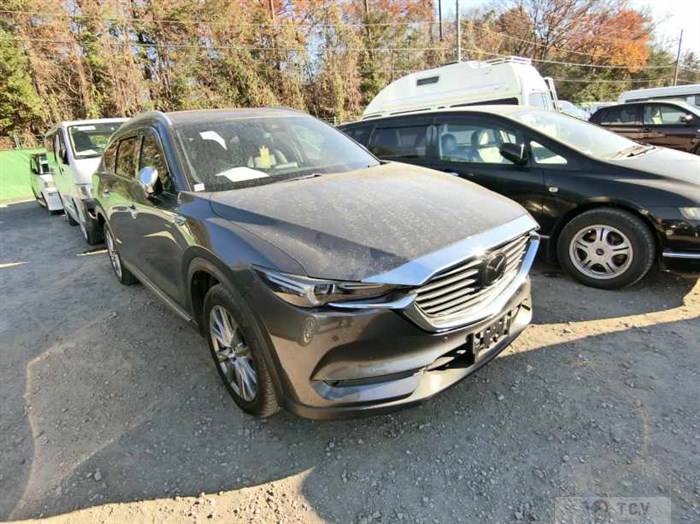 2018 Mazda CX-8