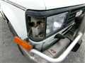 1991 Isuzu Bighorn