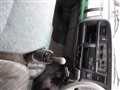 2001 Mitsubishi Canter