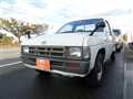 1995 Nissan Dutsun Truck