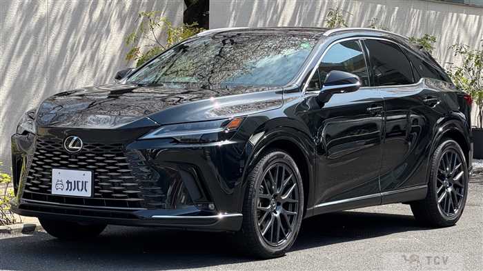 2024 Lexus RX