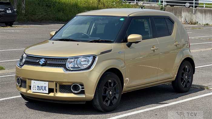 2017 Suzuki Suzuki Others