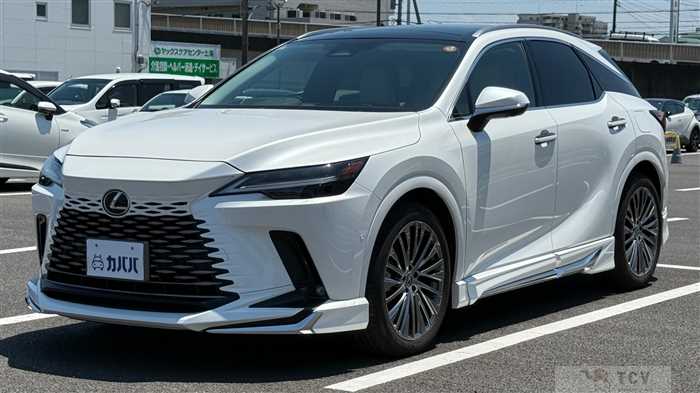 2024 Lexus RX