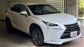 2014 Lexus NX
