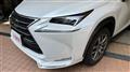 2014 Lexus NX