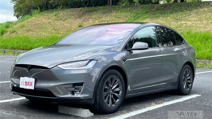 2018 Tesla Motors Others