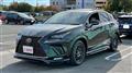 2018 Lexus NX