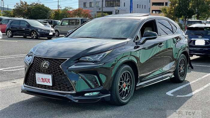 2018 Lexus NX