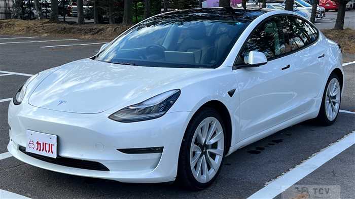 2020 Tesla Motors Others